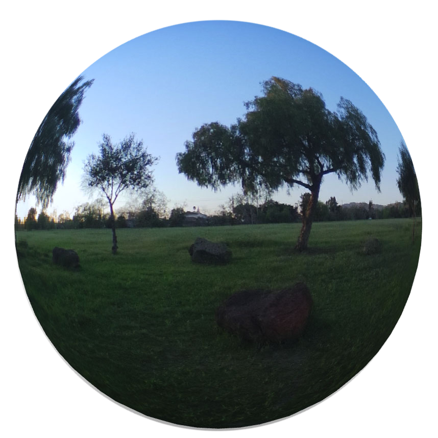 an image of a field with trees, rocks, and a path.