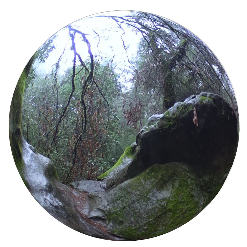 an image of a forest with rocks surrounding in the foreground and the forest out in the background